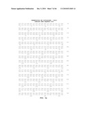 GLYCOSIDASE ENZYMES diagram and image