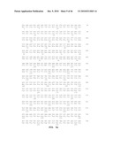 GLYCOSIDASE ENZYMES diagram and image