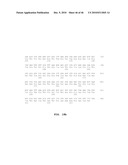 GLYCOSIDASE ENZYMES diagram and image