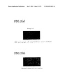 ELASTOMER POROUS MATERIAL AND METHOD OF PRODUCING THE SAME diagram and image