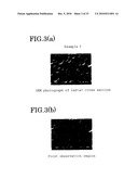 ELASTOMER POROUS MATERIAL AND METHOD OF PRODUCING THE SAME diagram and image