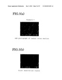 ELASTOMER POROUS MATERIAL AND METHOD OF PRODUCING THE SAME diagram and image