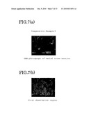 ELASTOMER POROUS MATERIAL AND METHOD OF PRODUCING THE SAME diagram and image