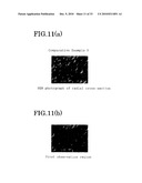 ELASTOMER POROUS MATERIAL AND METHOD OF PRODUCING THE SAME diagram and image