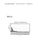 ELASTOMER POROUS MATERIAL AND METHOD OF PRODUCING THE SAME diagram and image