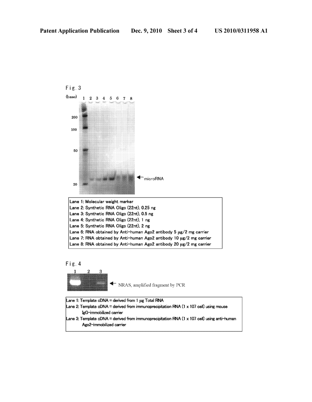 CARRIER, METHOD AND REAGENT FOR OBTAINING SMALL RNA - diagram, schematic, and image 04