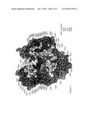 DNA Polymerases Having Improved Labeled Nucleotide Incorporation Properties diagram and image