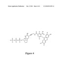 DNA Polymerases Having Improved Labeled Nucleotide Incorporation Properties diagram and image