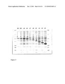 POLYPEPTIDES COMPRISING AN ICE-BINDING ACTIVITY diagram and image