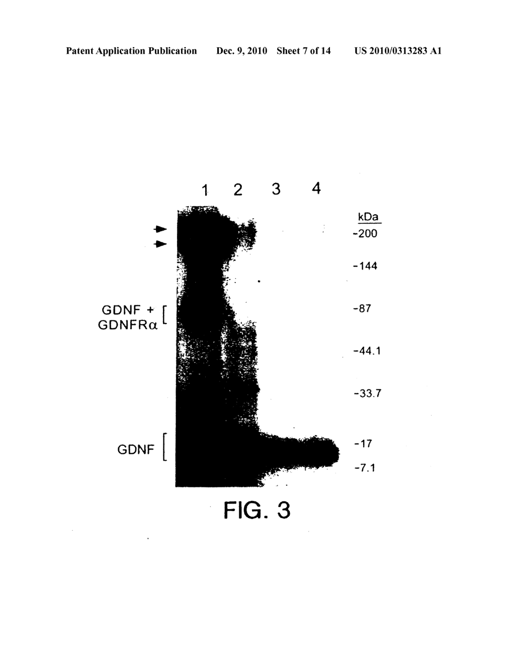 USES OF GDNF AND GDNF RECEPTOR - diagram, schematic, and image 08