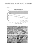 GAS ABSORPTION MEMBRANES AND THE MANUFACTURE THEREOF diagram and image