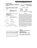 HIGHLY CORROSION-RESISTANT MEMBER AND MANUFACTURING PROCESS FOR THE SAME diagram and image