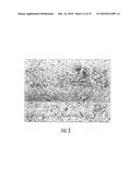 Halogen containing-polymer nanocomposite compositions, methods, and products employing such compositions diagram and image