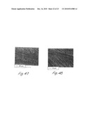 POLYMER-INORGANIC PARTICLE COMPOSITES diagram and image