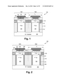 Nanotube Semiconductor Devices diagram and image