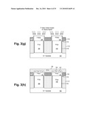 Nanotube Semiconductor Devices diagram and image