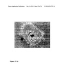 MANUFACTURING OF OPTICAL STRUCTURES BY ELECTROTHERMAL FOCUSSING diagram and image