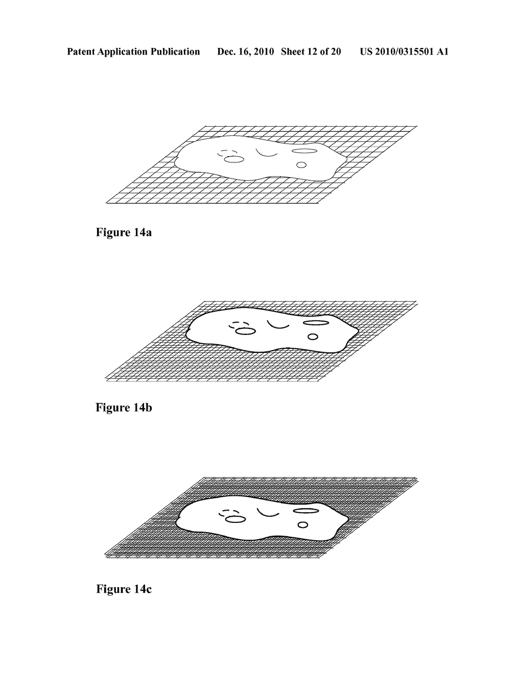 ELECTRONIC IMAGING FLOW-MICROSCOPE FOR ENVIRONMENTAL REMOTE SENSING, BIOREACTOR PROCESS MONITORING, AND OPTICAL MICROSCOPIC TOMOGRAPHY - diagram, schematic, and image 13