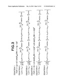 SIGNAL GENERATION DEVICE AND SIGNAL GENERATION METHOD AND PROGRAM THEREOF IN WIRELESS TRANSMISSION SYSTEM diagram and image