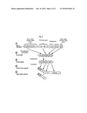 Method For The Preparation Of New Oligoclonal Antibodies diagram and image