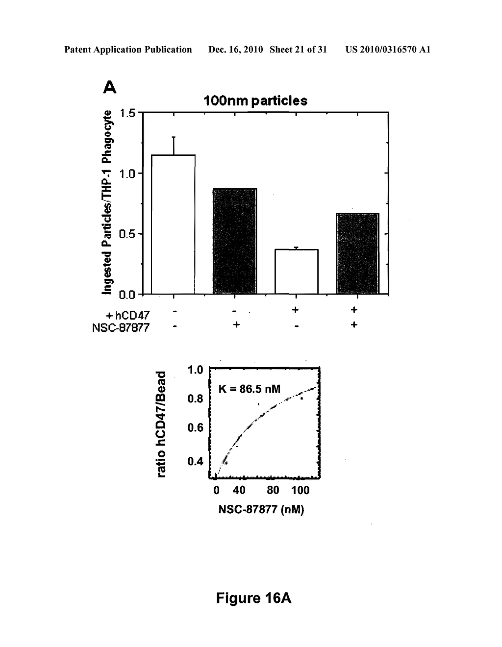 Protection of Virus from Immune Cell Uptake - diagram, schematic, and image 22