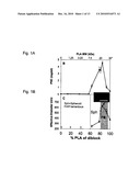 Method and Compositions for Polymer Nanocarriers Containing Therapeutic Molecules diagram and image