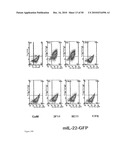 COMPOSITIONS AND METHODS FOR TREATMENT OF DISEASES AND DISORDERS ASSOCIATED WITH CYTOKINE SIGNALING diagram and image