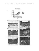 COMPOSITIONS AND METHODS FOR TREATMENT OF DISEASES AND DISORDERS ASSOCIATED WITH CYTOKINE SIGNALING diagram and image