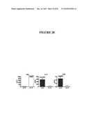 COMPOSITIONS AND METHODS FOR TREATMENT OF DISEASES AND DISORDERS ASSOCIATED WITH CYTOKINE SIGNALING diagram and image