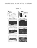 COMPOSITIONS AND METHODS FOR TREATMENT OF DISEASES AND DISORDERS ASSOCIATED WITH CYTOKINE SIGNALING diagram and image