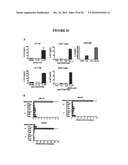 COMPOSITIONS AND METHODS FOR TREATMENT OF DISEASES AND DISORDERS ASSOCIATED WITH CYTOKINE SIGNALING diagram and image