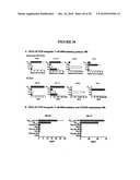 COMPOSITIONS AND METHODS FOR TREATMENT OF DISEASES AND DISORDERS ASSOCIATED WITH CYTOKINE SIGNALING diagram and image