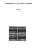 COMPOSITIONS AND METHODS FOR TREATMENT OF DISEASES AND DISORDERS ASSOCIATED WITH CYTOKINE SIGNALING diagram and image