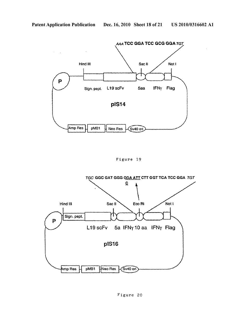 COMPOSITIONS AND METHODS FOR TREATMENT OF ANGIOGENESIS IN PATHOLOGICAL LESIONS - diagram, schematic, and image 19