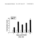 Conditionally Replicating Viruses for Cancer Therapy diagram and image