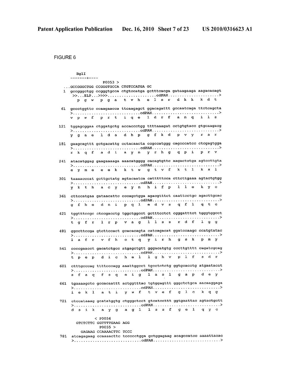 PHENYLALANINE HYDROXYLASE FUSION PROTEIN AND METHODS FOR TREATING PHENYLKETONURIA - diagram, schematic, and image 08