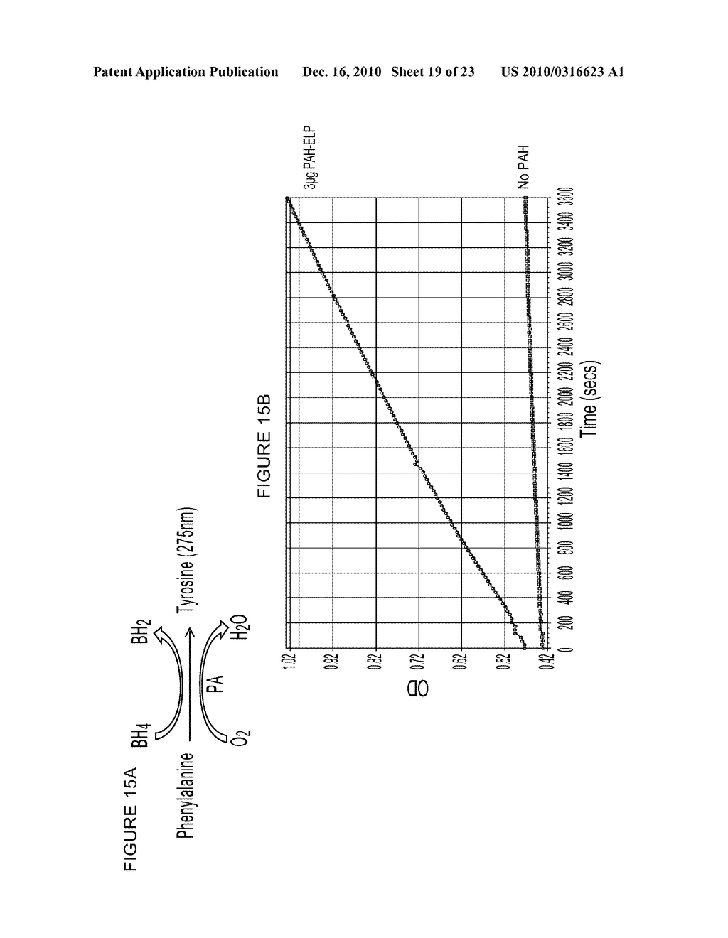 PHENYLALANINE HYDROXYLASE FUSION PROTEIN AND METHODS FOR TREATING PHENYLKETONURIA - diagram, schematic, and image 20