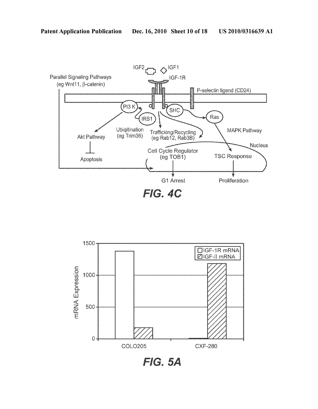 BIOMARKERS FOR IGF-1R INHIBITOR THERAPY - diagram, schematic, and image 11