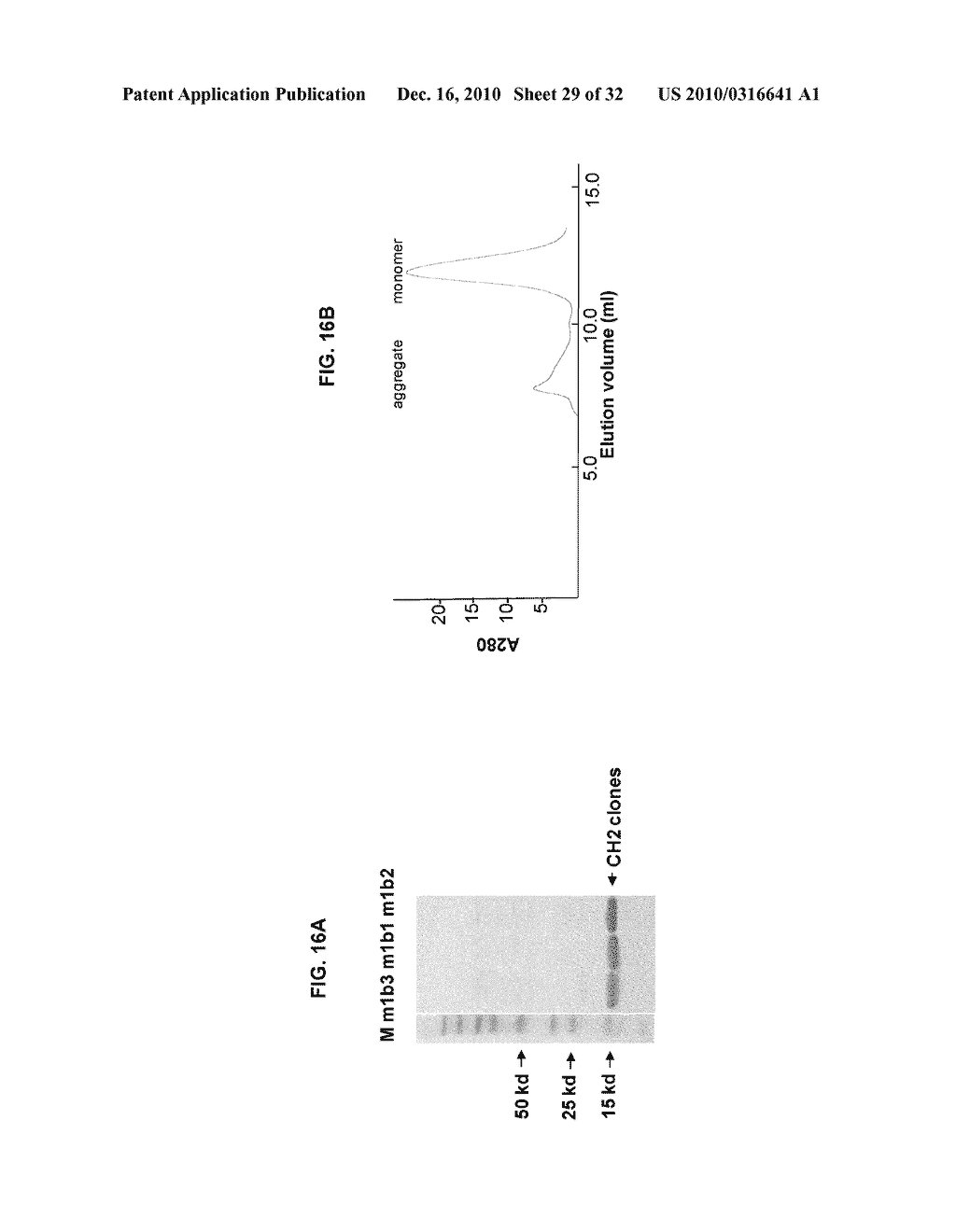 ENGINEERED ANTIBODY CONSTANT DOMAIN MOLECULES - diagram, schematic, and image 30