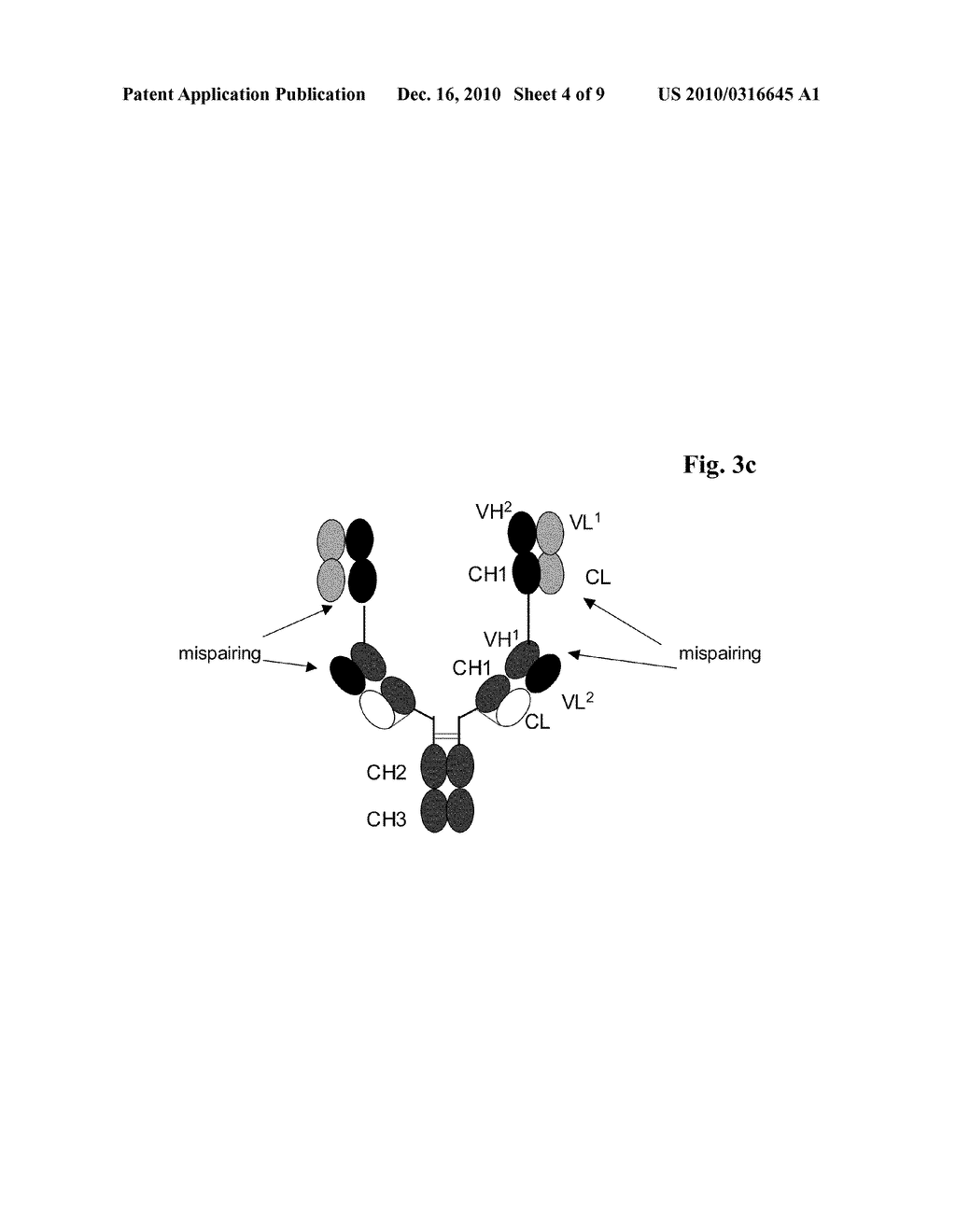 Bispecific Antigen Binding Proteins - diagram, schematic, and image 05