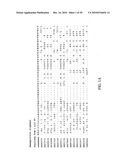 NEUTRALIZING ANTIBODIES TO INFLUENZA VIRUSES diagram and image