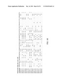 NEUTRALIZING ANTIBODIES TO INFLUENZA VIRUSES diagram and image