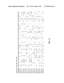 NEUTRALIZING ANTIBODIES TO INFLUENZA VIRUSES diagram and image