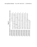 NEUTRALIZING ANTIBODIES TO INFLUENZA VIRUSES diagram and image