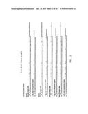 NEUTRALIZING ANTIBODIES TO INFLUENZA VIRUSES diagram and image