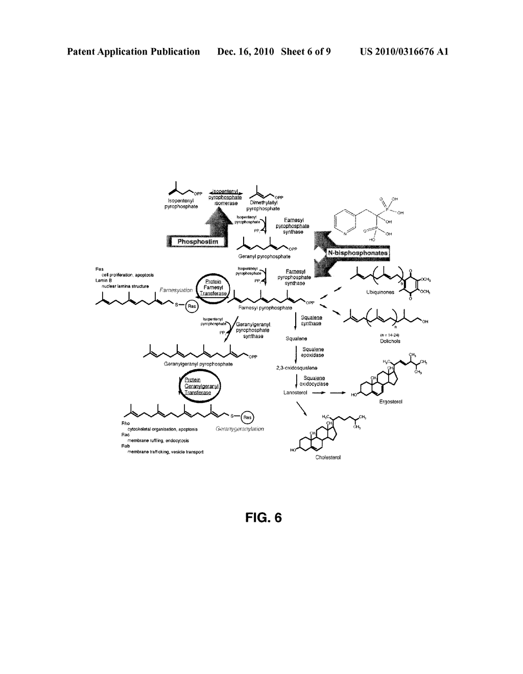 Bisphosphonate Compounds and Methods for Bone Resorption Diseases, Cancer, Bone Pain, Immune Disorders, and Infectious Diseases - diagram, schematic, and image 07