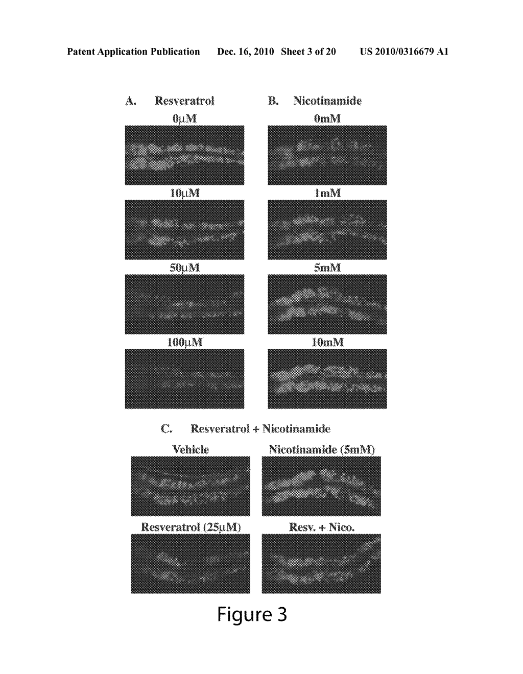 COMPOSITIONS FOR TREATING OR PREVENTING OBESITY AND INSULIN RESISTANCE DISORDERS - diagram, schematic, and image 04