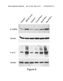 COMPOSITIONS FOR TREATING OR PREVENTING OBESITY AND INSULIN RESISTANCE DISORDERS diagram and image