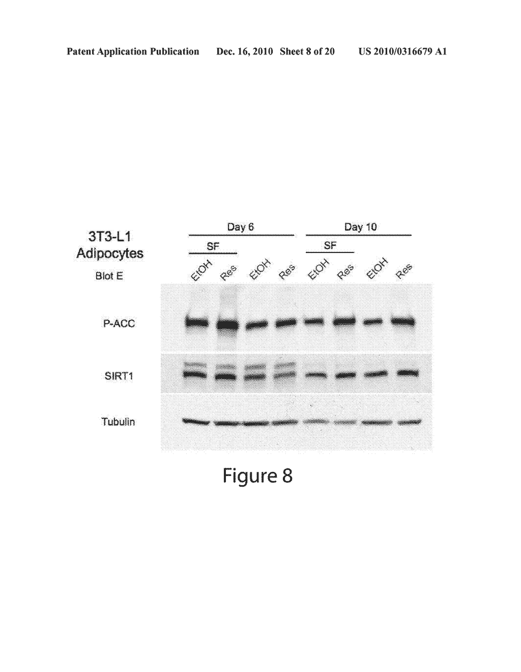 COMPOSITIONS FOR TREATING OR PREVENTING OBESITY AND INSULIN RESISTANCE DISORDERS - diagram, schematic, and image 09