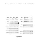 COMPOSITIONS FOR TREATING OR PREVENTING OBESITY AND INSULIN RESISTANCE DISORDERS diagram and image